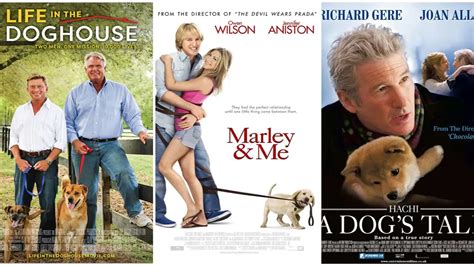 Inside Scoop: Dogs in Movies