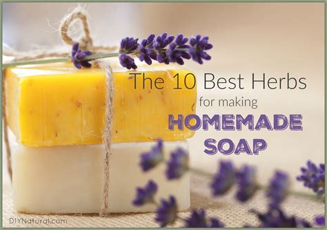 Homemade Soap: The Best Herbs To Use in Your Recipes