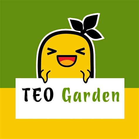 Garden Help, Diy Garden, Container Gardening, Life Hacks, The Creator, Development, Water ...