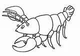 Simple Lobster sketch template