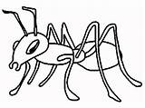 Coloring Pages  Ants Your Toddler Will Love sketch template