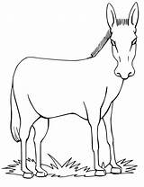 Cartoon Mule Coloring Page  Free Printable Pages For Kids sketch template