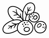 Berries coloring pages  Download And Print For Kids sketch template