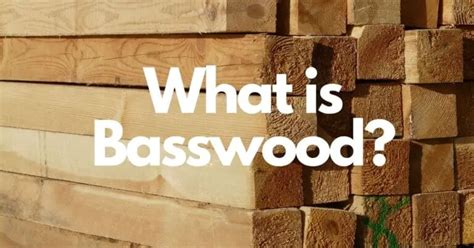 What is Basswood? | Everything You Need to Know About Basswood