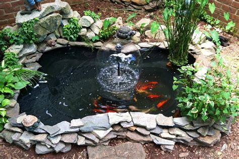 DIY Koi Fish Pond: What Do I Need To Build a Backyard Pond?