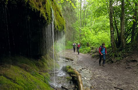 Black Forest Self-guided Inn To Inn Hiking Tour In Germany. Independent ...