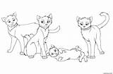 Warrior Cat Coloring Page » Turkau sketch template