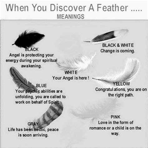 92 best images about Feathers on Pinterest | Feathers, Feather art and ...