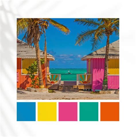 Caribbean Colour Palette | Color palette bright, Hot color palette, Bright color pallets