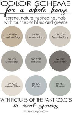 Best Grey Brown Paint Color - diariodaborboleta2012