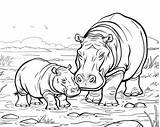 Cute Hippo Coloring Pages sketch template