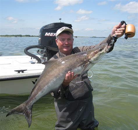 RON'S ROCKPORT FISHING REPORTS: TRAYLOR ISLAND LING