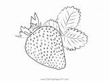Strawberry Coloring Printable Pages sketch template