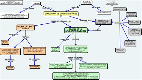 DISFRUTEMOS LAS CIENCIAS NATURALES profesor MAURIS SARRIA: EVOLUCIÓN DE ...