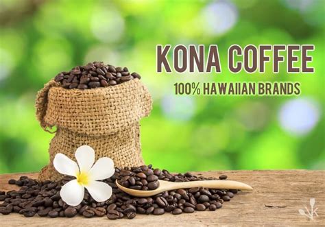 Some of the best Kona coffee brands! G.c.F. was here. Kona Coffee Hawaii, Hawaiian Coffee ...