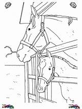 Horse Herd Coloring Pages At GetColoringscom  Free Printable sketch template
