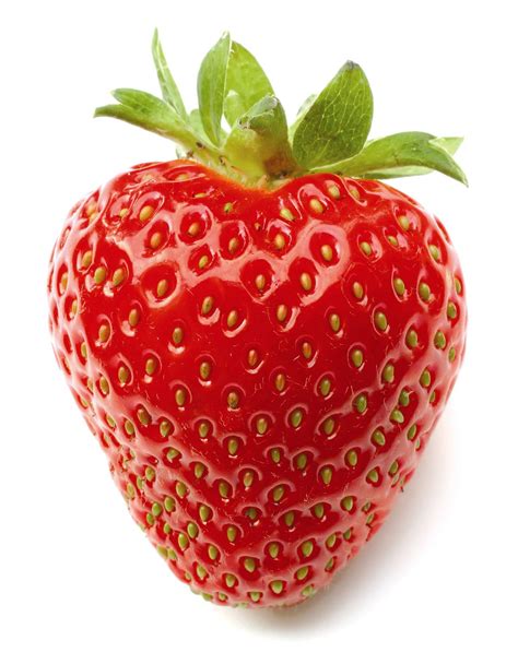 Free photo: A single strawberry - Beautiful, Berry, Food - Free ...