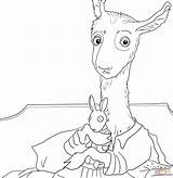 Llama Coloring Page At GetColoringscom  Free Printable colorings sketch template