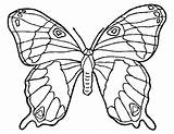 Butterfly Drawing To color  Coloring Pages sketch template