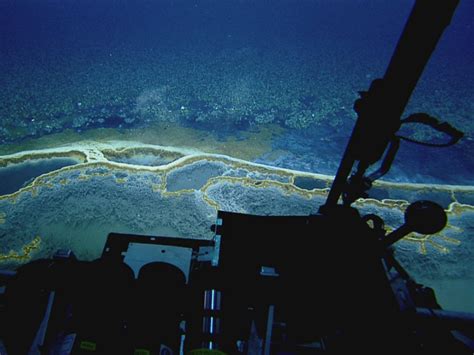 Waves of Deadly Brine Can Slosh After Submarine Landslides - Eos