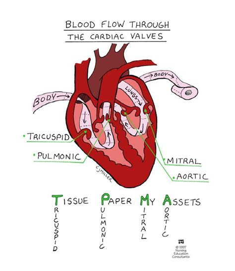 Pin on Nurse Mnemonics