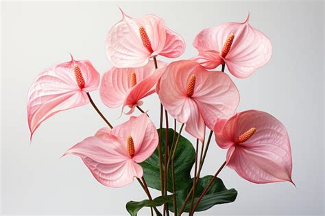 Premium AI Image | Floral arrangement with a beautiful Anthurium flower