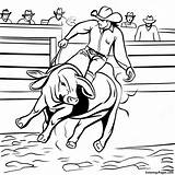 Pbr Bull Riding Coloring Page  Pagescom sketch template
