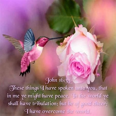 12080 best images about Flowers + Bible Verses on Pinterest | The lord, 2 samuel and Christian ...