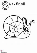 Letter S Coloring Pages TeachersMagcom sketch template