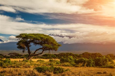 Kilimanjaro: the Highest Mountain in Africa