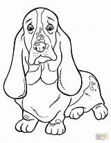 Basset Hound Cani Hunde Kleurplaten Stilizzati Mammiferi Kleurplaat  sketch template