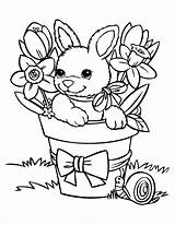 Rabbit coloring Pages For kids  Rabbits & Bunnies Kids Coloring sketch template