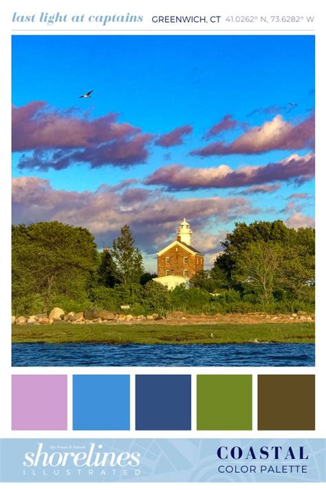 Welcome to Shorelines Illustrated | Coastal colors, Coastal, Coastal color palettes