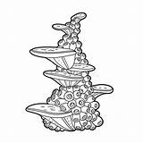 Sponge Coloring Pages For Kids sketch template