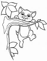 Cat Coloring Pages – Printable FREE sketch template