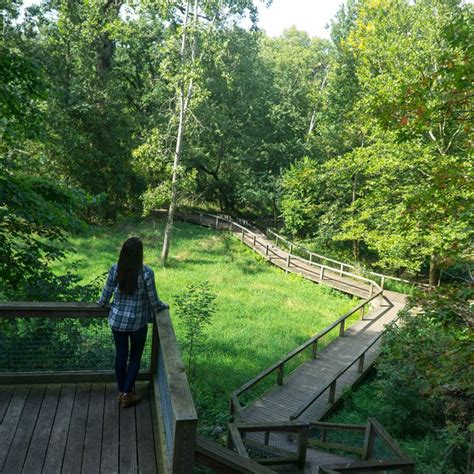 Wildwood Preserve Metropark | Metroparks Toledo in 2021 | Wildwood park, Wildwood, Outdoors ...