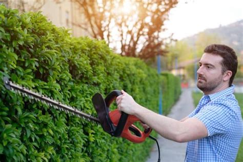 What is the Best Corded Hedge Trimmer of 2024? - Gardening Mentor