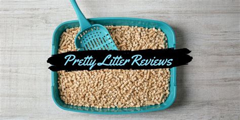 Pretty Litter Reviews: A Good Way To Know About Your Cat’s Health