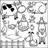 Barnyard Animal Coloring Pages  Yunus sketch template