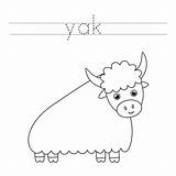 Premium Vector  Trace The Letters And color Cute yak handwriting sketch template