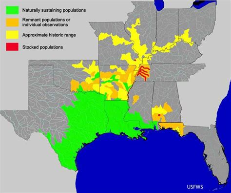 American Alligator Habitat Map