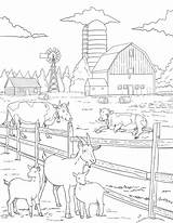 Farm Animal Coloring Pages Book Colouring Sheets For  sketch template