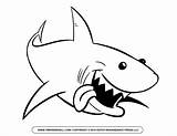 Basking Shark Coloring Pages At GetColoringscom  Free Printable sketch template