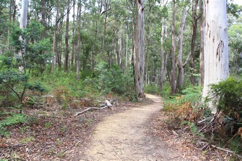 RDO Melbourne: Stringybark Creek, Tolmie