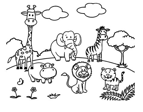 Zoo Coloring Sheets