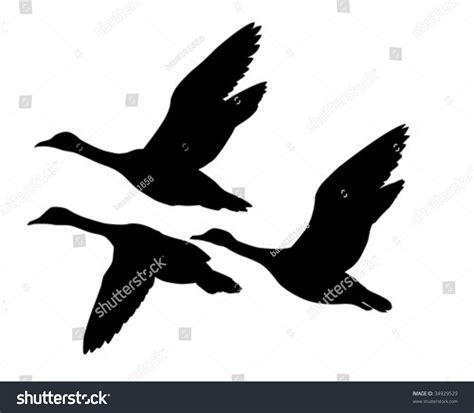Vector Silhouette Flying Geese On White Stock Vector (Royalty Free) 34929529 | Shutterstock ...