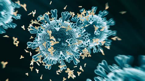 Cross-Reactive Antibody Blocks Infections against Multiple Coronaviruses in Mice