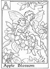 Woodland Fairy Coloring Pages  Coloring Home sketch template