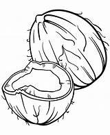 Big coloring page Of coconut  Topcoloringpagesnet sketch template