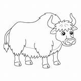 Yak Coloring Page Images  Free Download On Freepik sketch template